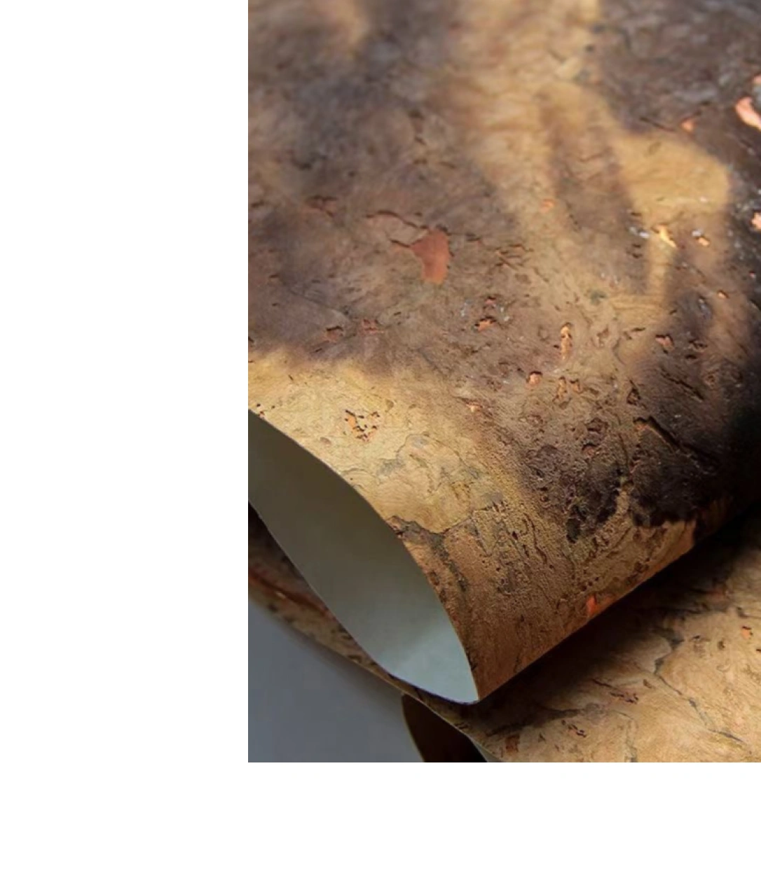 Detail textured of wallpaper